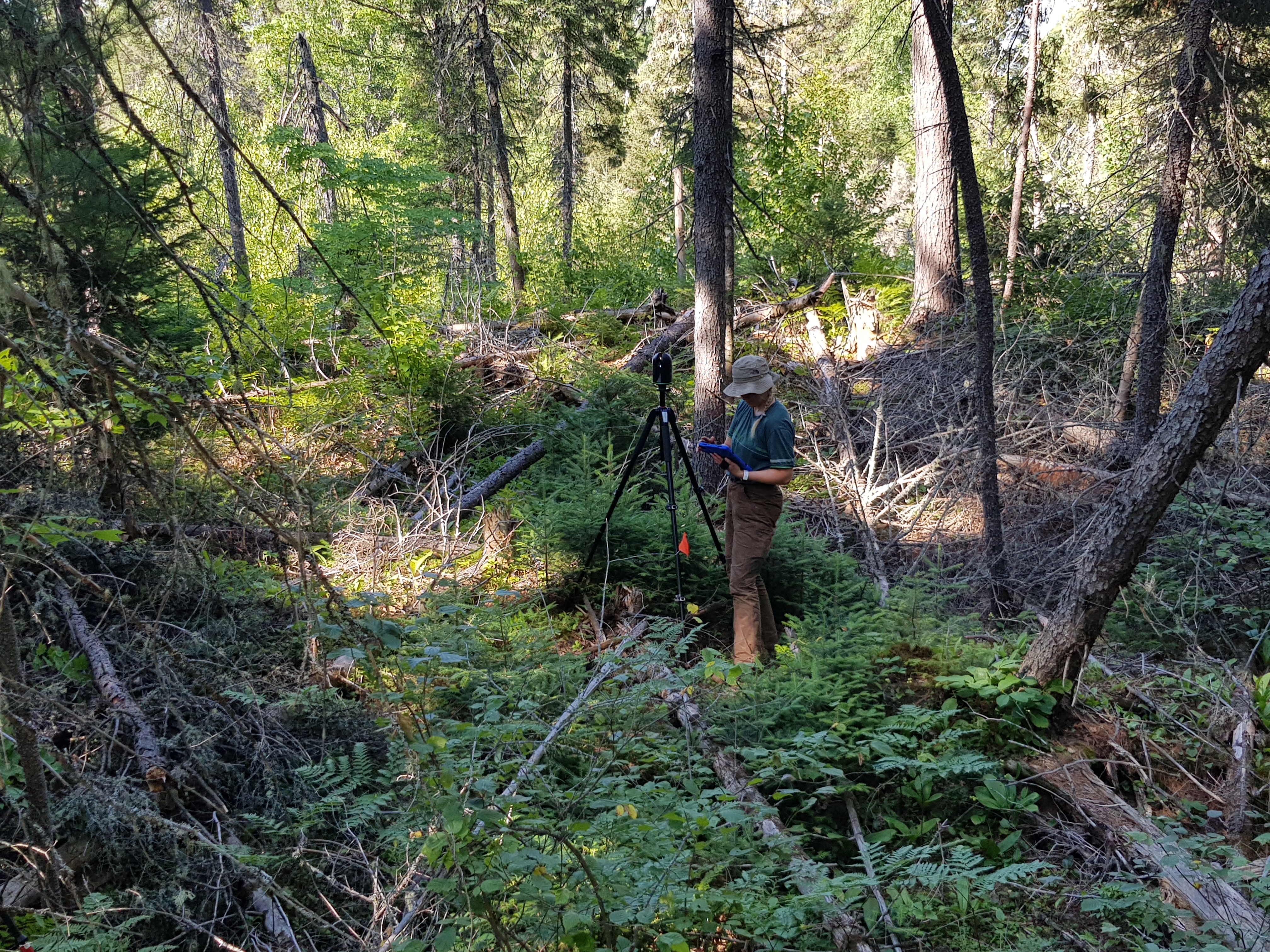 Field work